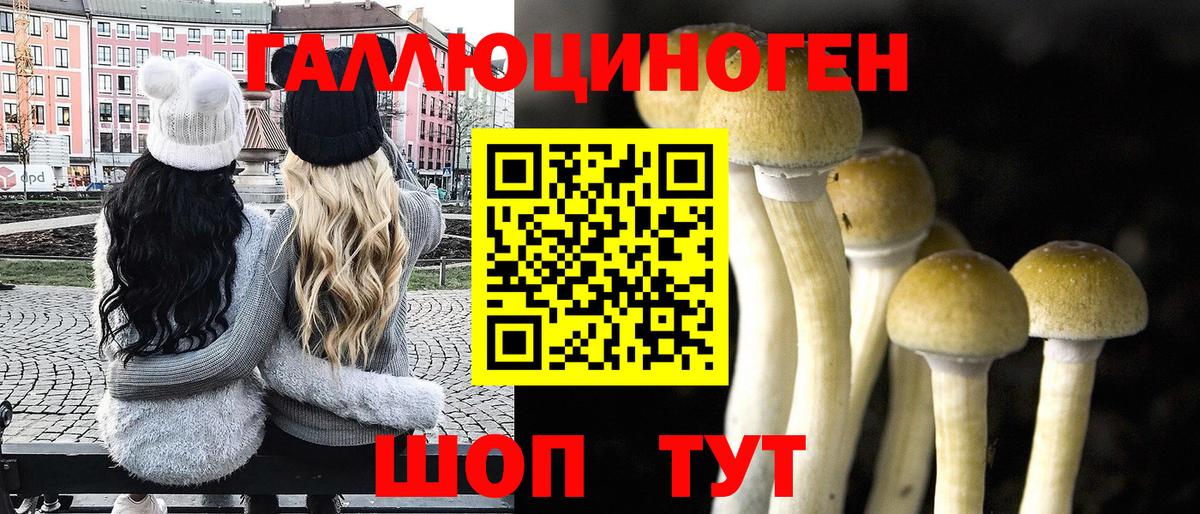 Ногинск  Псилоцибиновые грибы Psilocybe  Псилоцибиновые грибы MAGIC MUSHROOMS  Вход с VPN 